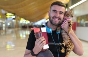 How to Travel with a Cat by Plane