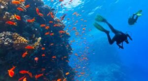 Unique & Quirky Activities